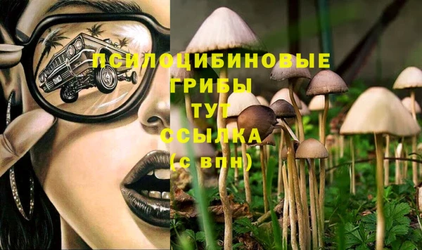 a pvp Алзамай