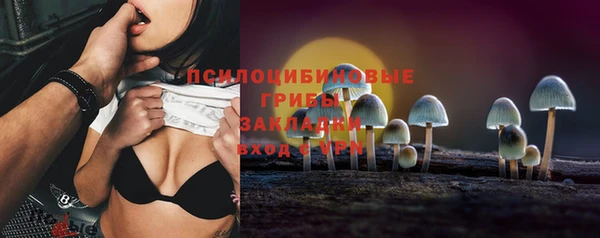 ешки Алексеевка