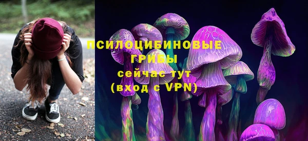 a pvp Алзамай