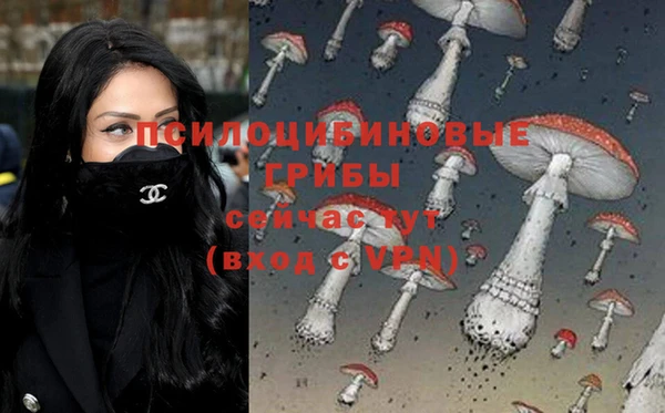 МДМА Алексин